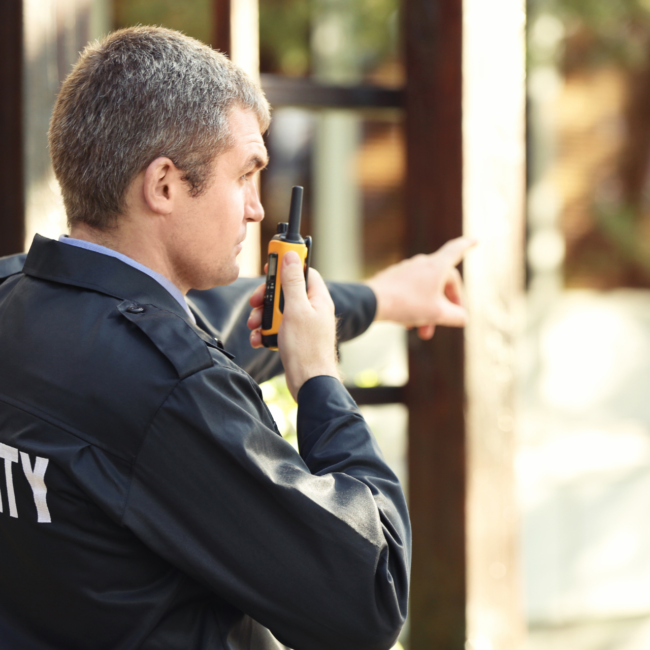 Security solutions for commercial safety