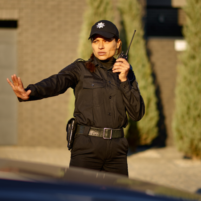 Security officer providing access control and safety