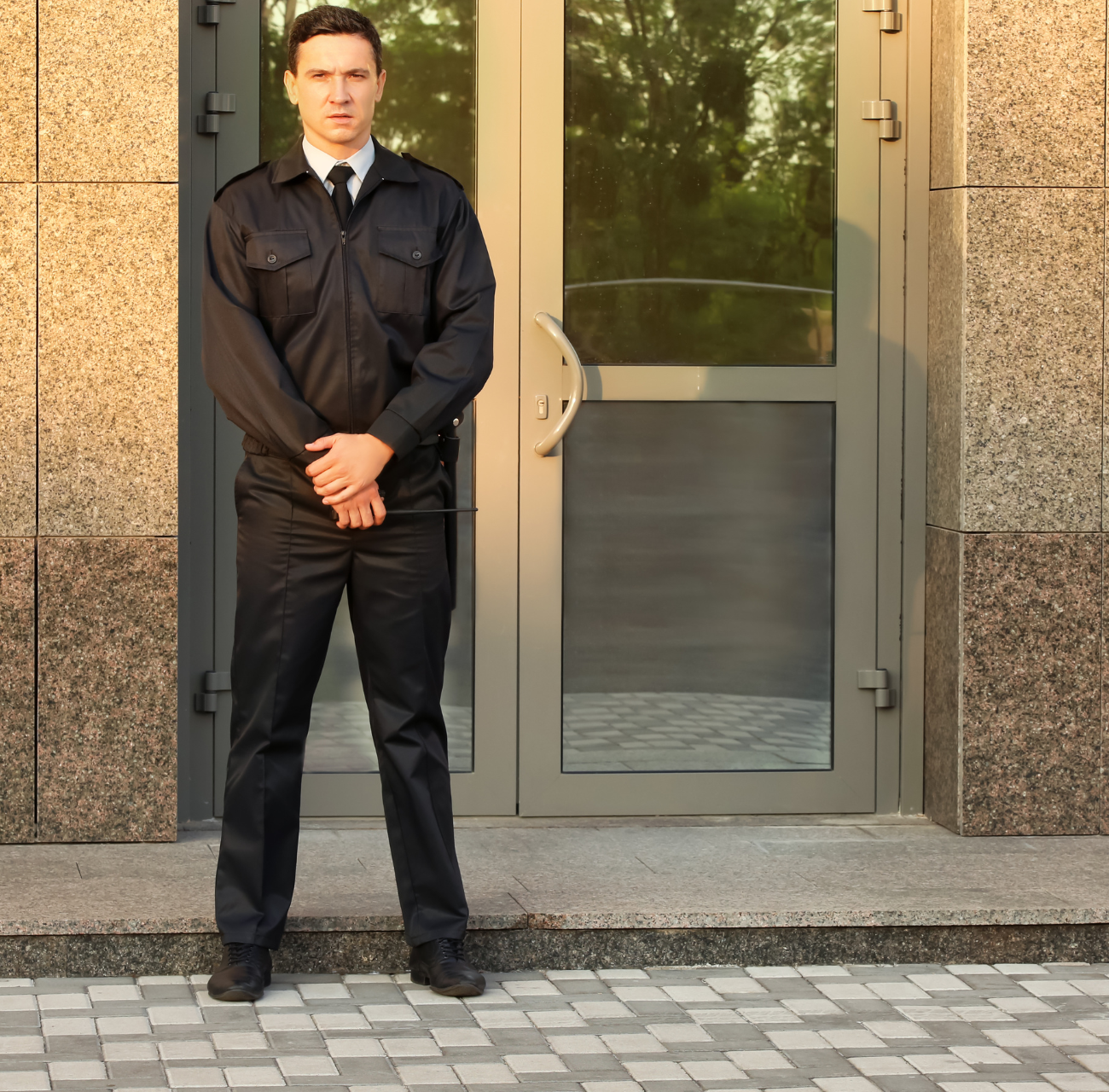 Professional security services for corporate safety